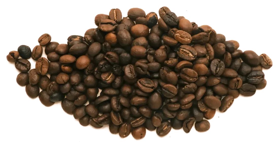 焙煎したてのコーヒー豆のひと山