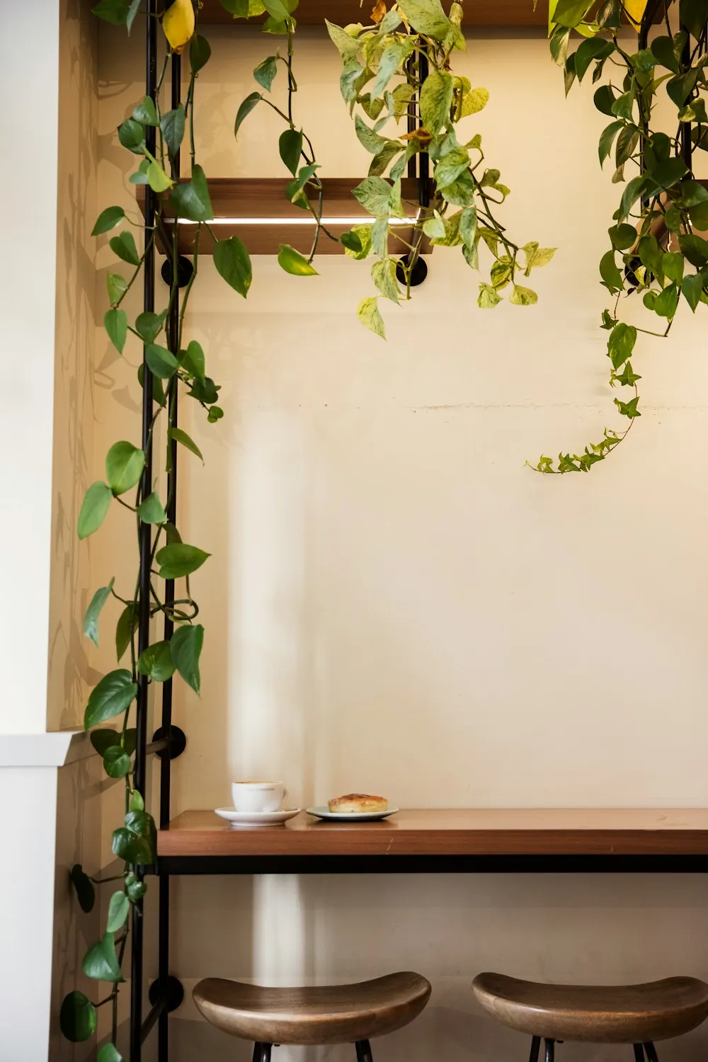 生成りの壁に、つる草と小さな棚がある店内の一角